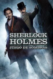 Sherlock Holmes: Juego de sombras